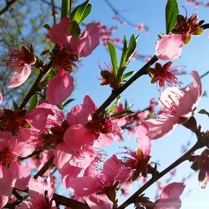 Meet your Posher, Christel